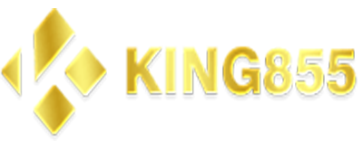 King855 Logo